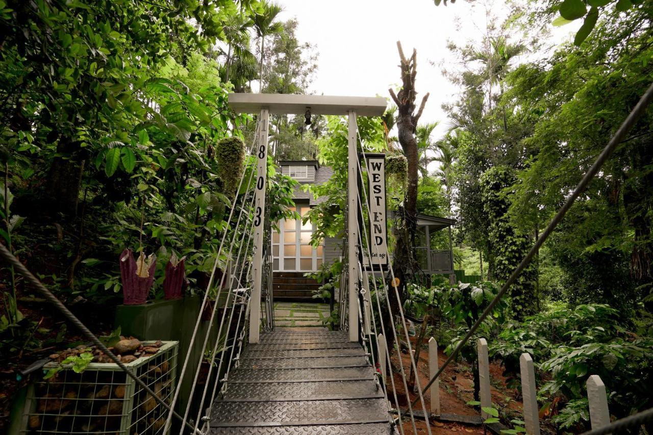 Вілла Iron Bridge Cove Meppadi Екстер'єр фото